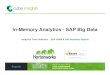 In-Memory Analytics - SAP Big Data - Analytics Tools Selection  - SAP HANA & SAP Business Objects