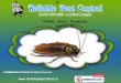 Reliable Pest Control Maharashtra India