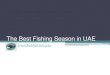 Best fishing season in UAE