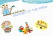 The journey of food