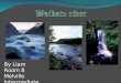 Liams Waikato River Slideshow