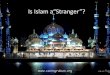 Is Islam a stranger (1)