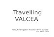 Travelling valcea