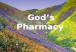 God\'s Pharmacy (with sound)