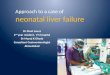 2 neonatal liver failure
