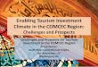 Enabling Tourism Investment Climate in the COMCEC  Region: Challenges and Prospects
