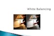 Photography: 5 - White Balancing