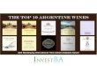 The Top 10 Wines From Argentina