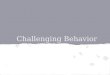 Autism and Challenging Behaviors in the Classroom