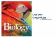 CVA Biology I - B10vrv4133