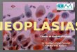 Neoplasias - Anatomía Patológica