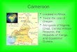 Cameroon Project For French