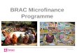 Microfinance Presentation 2013