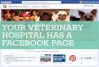 Master Facebook for Your Veterinary Hospital