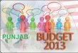 budget of punjab 2013-2014