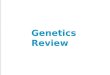 Genetics review and problems 2a