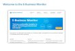 E-Business Monitor introduction