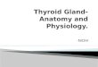 Anatomy and Physiology of Thyroid Gland