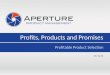 Profitable Product Selection