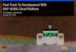 Fast Track to Development with SAP HANA Cloud Platform