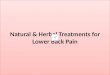 Natural & Herbal Treatments for Lower Back Pain