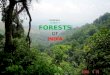 Forests of India