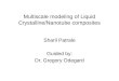 Multiscale modeling of LCP/Nanotube Composites