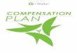 It Works Compensation Plan 2013