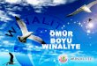 Winalite Türkiye