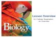 CVA Biology I - B10vrv3091