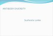 Antibody diversity