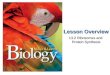 CVA Biology I - B10vrv4132
