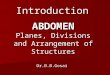 Introduction abdomen-dr.gosai