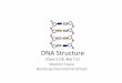 DNA Structure (core and AHL)