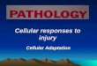 Pathology lab   cellular responses to injury