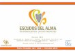 Informe final escudos del alma 04 2011