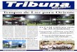 Jornal Tribuna Regional 76 15 a 30 de junho de 2013