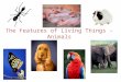 Features of Living Things