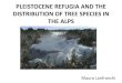 Pleistocene Refugia and Distribution of Tree Species in the Alps