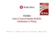 ROMA User-Customizable NoSQL Database in Ruby