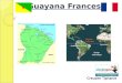 Informe Absolutgest sobre Guayana