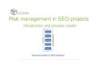 Risk management in SEO projects