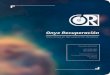 Brochure de la Empresa Onyx Recuperacion - Recuperacion de Datos e Informacion de Discos Duros-RAID-USB