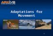 11 14yrs --adaptations_for_movement_-_classroom_presentation