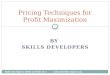 Pricing techniques for profit maximization