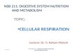 Cellular respiration (glycolysis, TCA and ETC)
