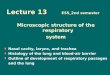 Lecture13   microscopic structure of the respiratory