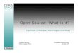 Open Source: What is It?