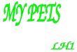 Lh1 my pets blog