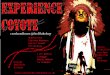 Experience Coyote Presentation